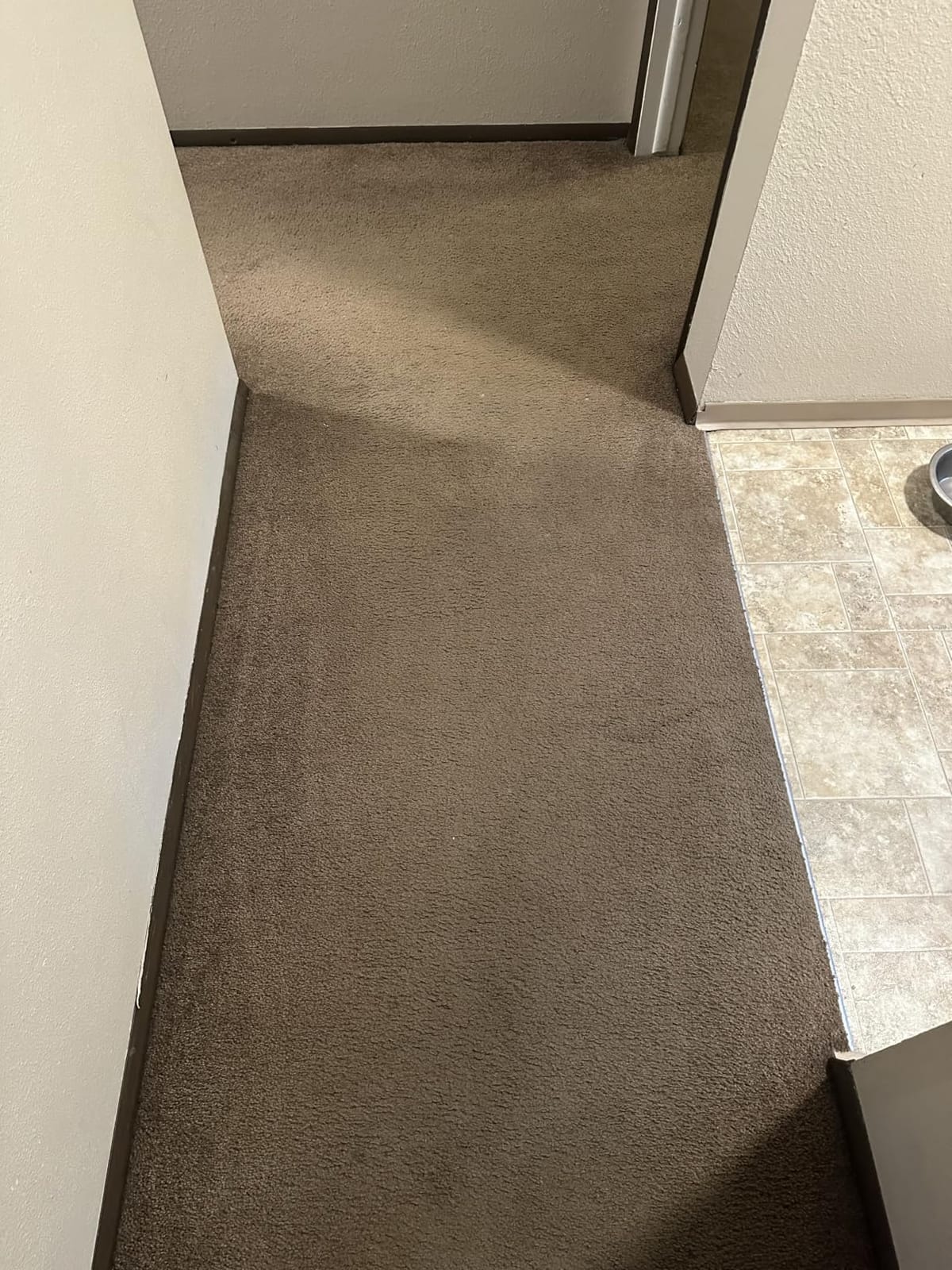 BISSELL TurboClean PET, Upright Carpet & Upholstery Cleaner, 3948 | TurboClean technology for powerful pet hair and stain removal; upright design for full-room carpet care customer photo 2