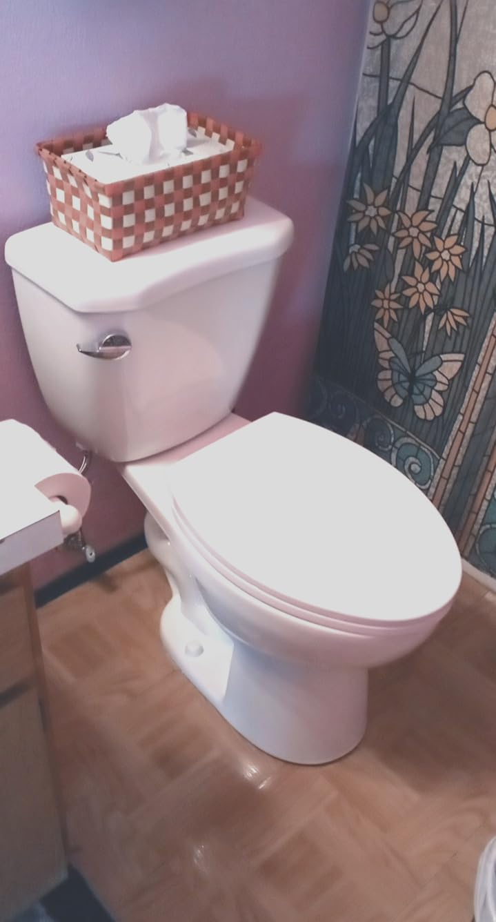DeerValley Compact One Piece Toilet for Small Bathrooms with Soft Close Seat 12 Inch Rough Dual Flush 0.8/1.28 GPF Toilets In White customer photo 1
