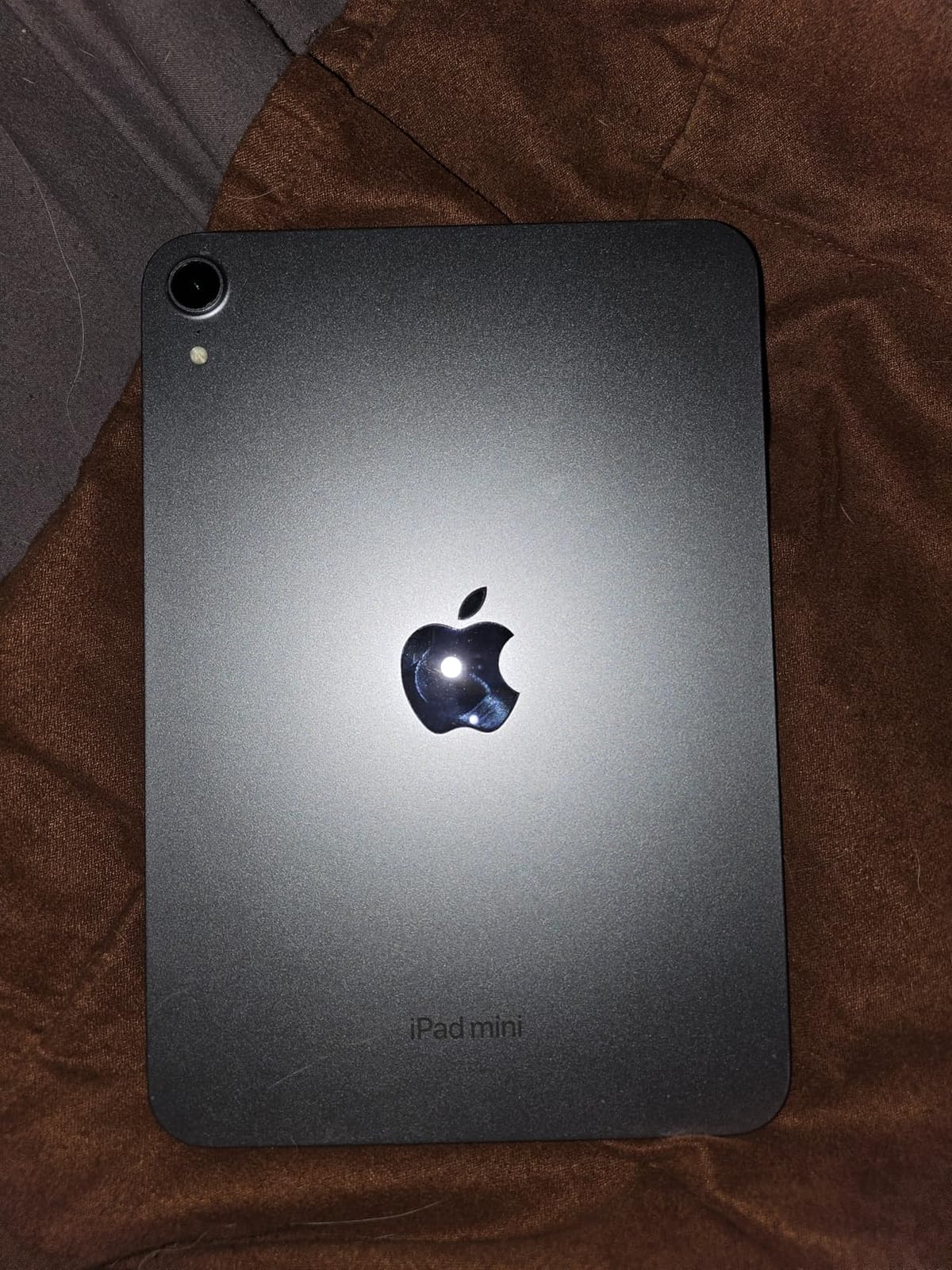 Apple iPad mini (A17 Pro): Apple Intelligence, 8.3-inch Liquid Retina Display, 128GB, Wi-Fi 6E, 12MP Front/12MP Back Camera, Touch ID, All-Day Battery Life - Space Gray customer photo 1