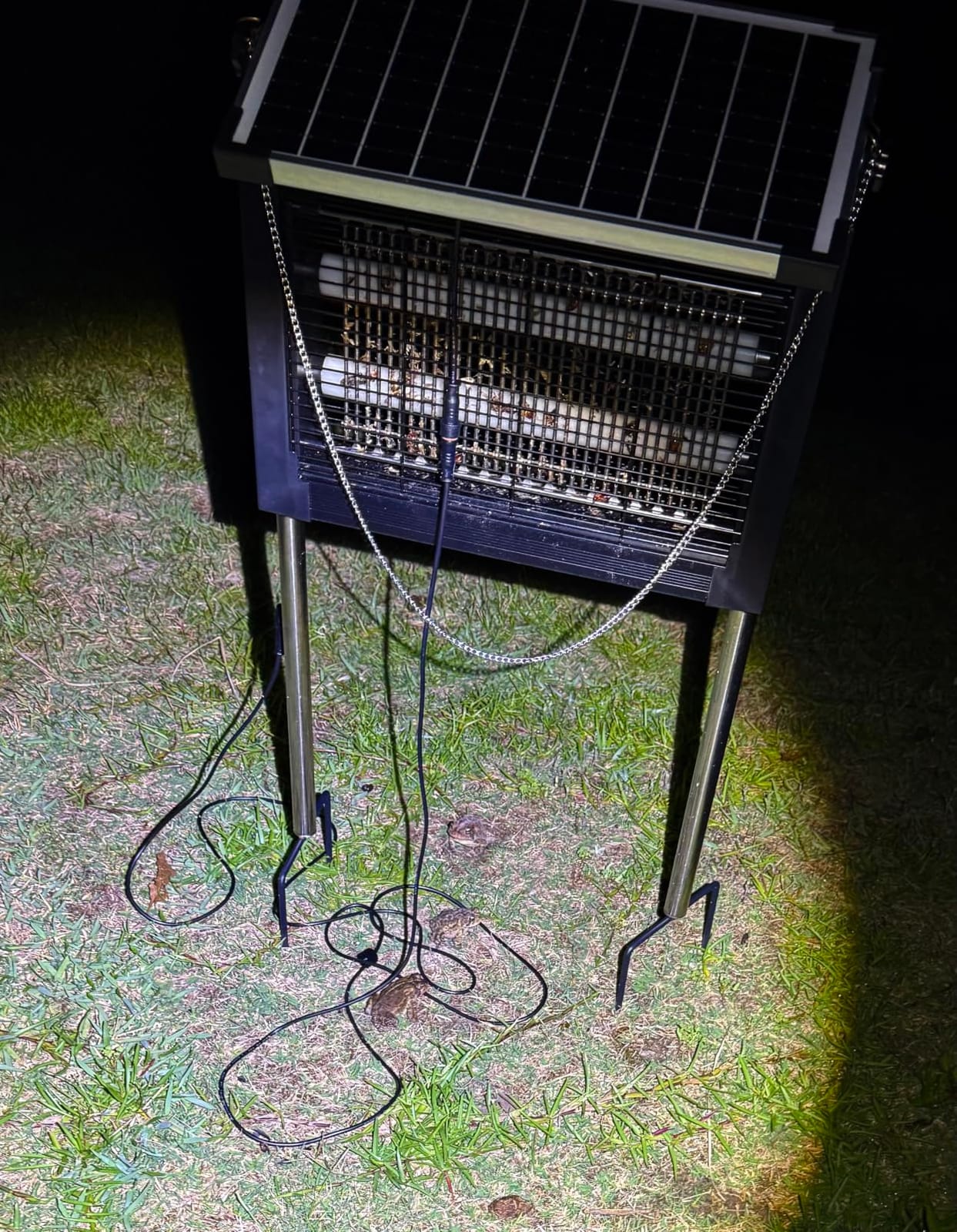 Solar Bug Zapper Outdoor, 4500V Cordless Mosquito Zapper with Solar Power customer photo 1