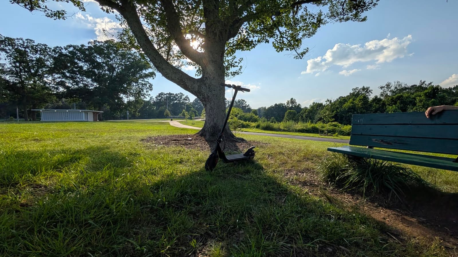 iScooter Electric Scooter for Adults, Foldable E-Scooter for Commuting customer photo 2