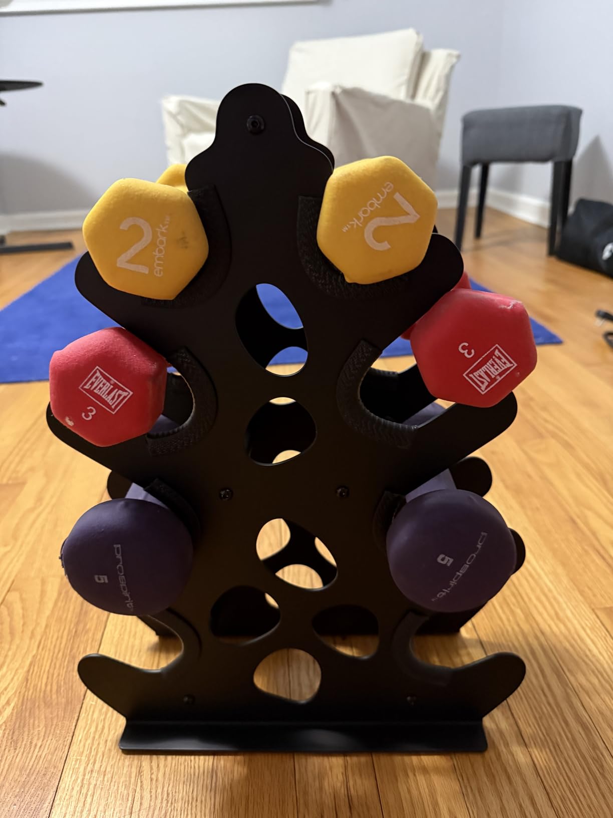 4 Tier Dumbbell Rack, Weight Rack For Home Gym, Dumbbell Stand for Free Weights customer photo 2