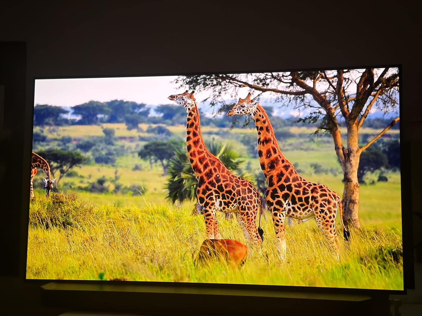 Samsung 77-Inch Class S90F Smart TV (2025 Model, 77S90F), NQ4 Gen3 Processor, Upscaling Pro, HDR+, Motion Xcelerator 144Hz, Vision, Alexa Built-in, 4K customer photo 2