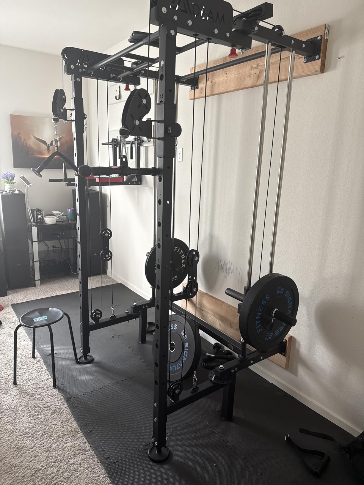 Mdeam Folding Squat Rack, Wall Mounted Power Rack with Dual Pulley System customer photo 1