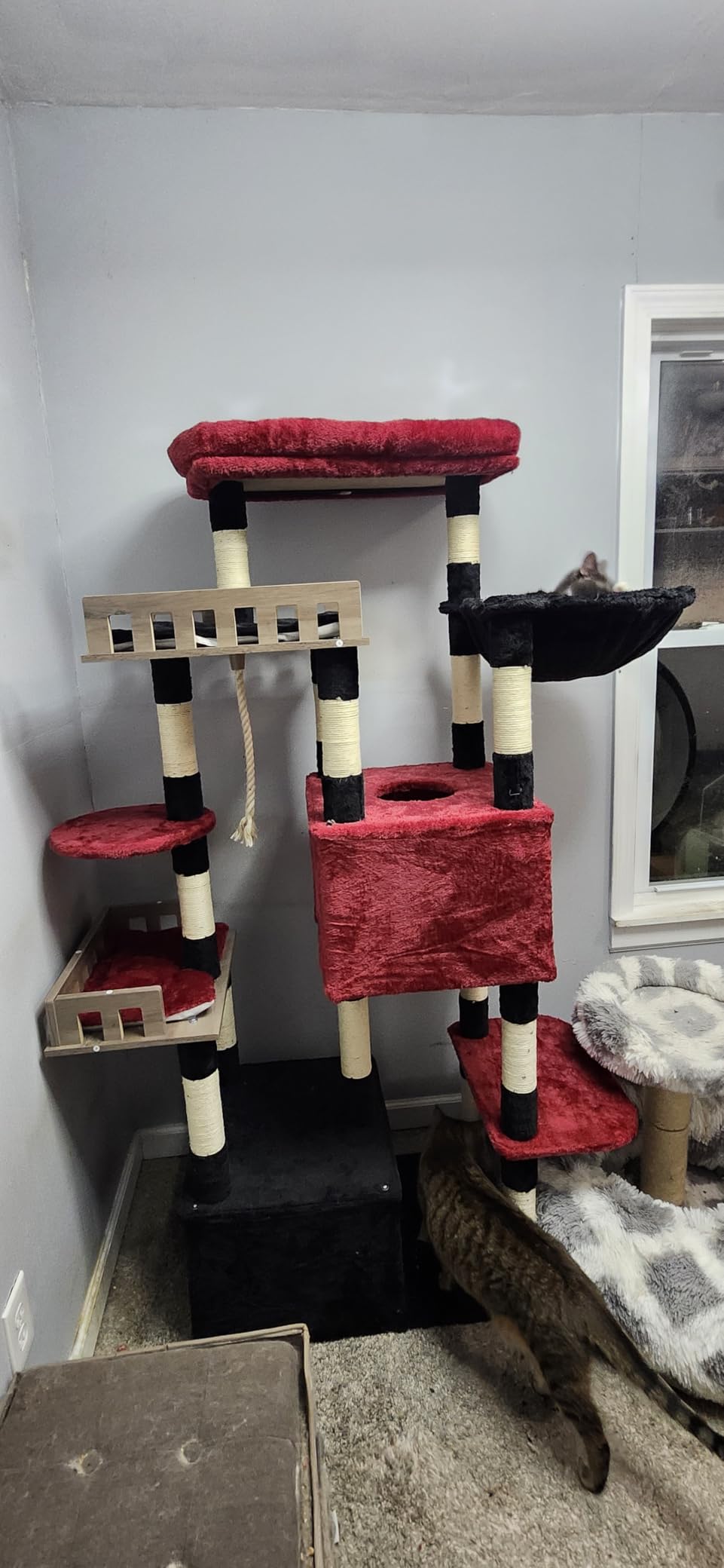Gitelsnour Maine Coon Cat Tree, Heavy Duty Cat Tower for 20 lbs+, GCT033G customer photo 2