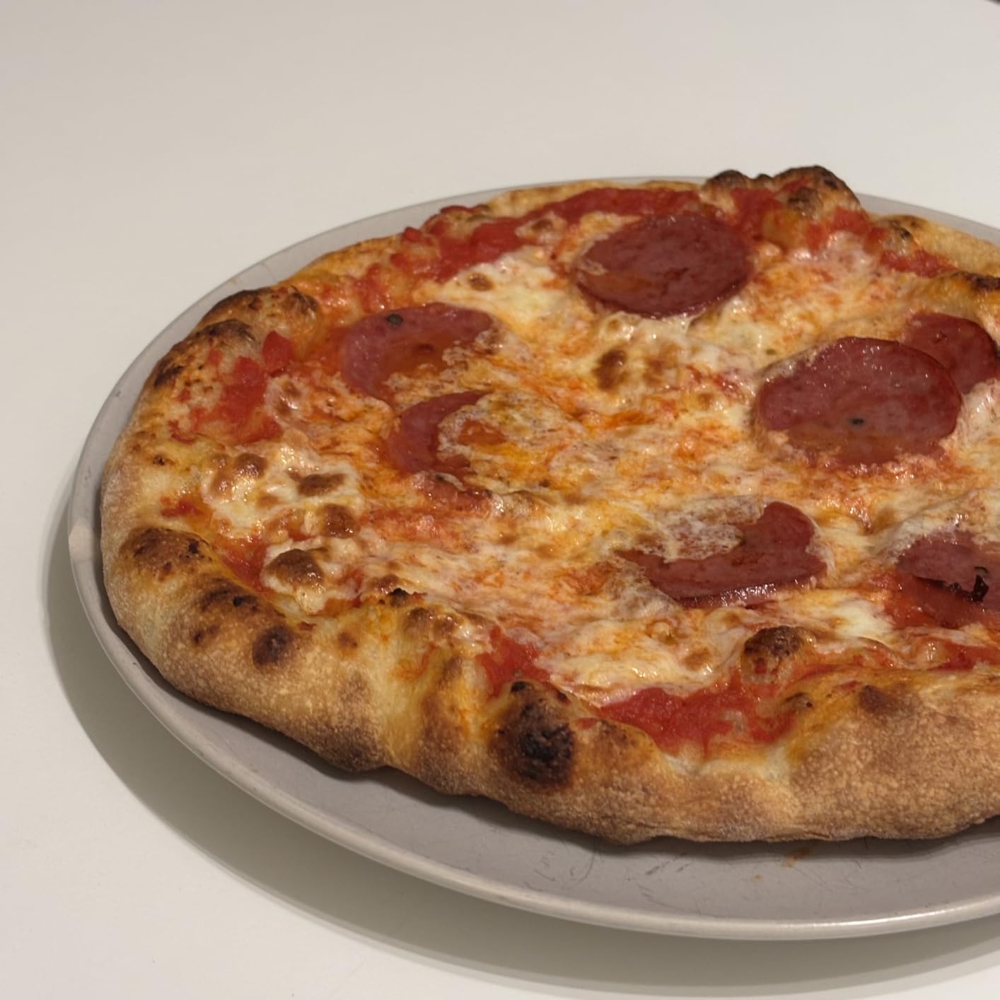BIG HORN 14-Inch Indoor Pizza Oven, 850°F Electric Countertop Pizza Oven customer photo 2