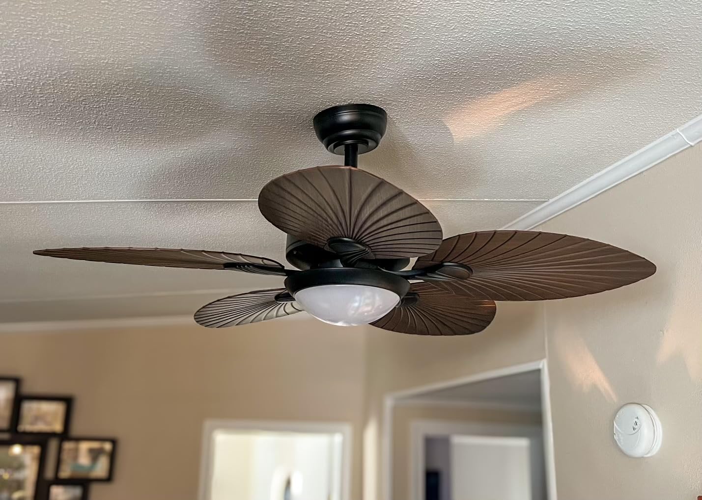 Wiviniya 50'' Tropical Ceiling Fan with Lights Palm Leaf Outdoor Waterproof customer photo 2