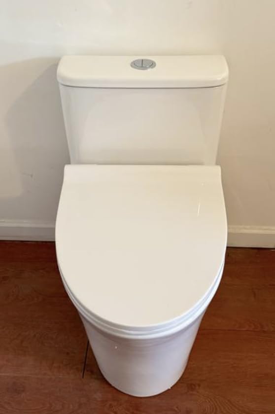 One Piece Sleek Modern Toilet, 17