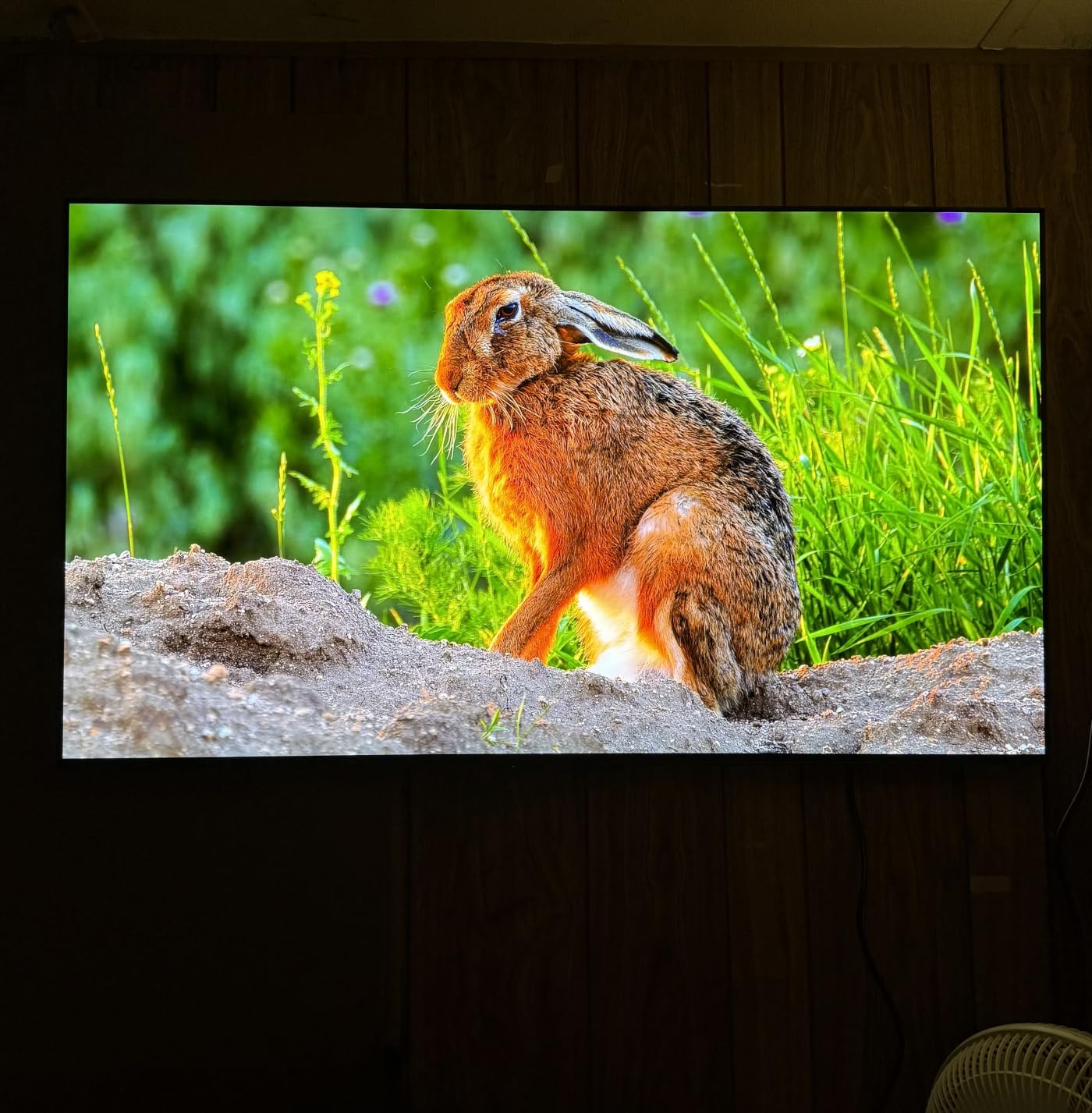 Sony 48 Inch BRAVIA 6 OLED 4K HDR Smart Google TV with Gemini (K-48A60) customer photo 2