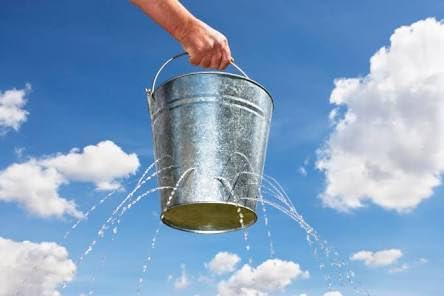 ProSelect Heavy Duty Stainless Steel Pails — Durable Pails for Kennels and Farms - 6