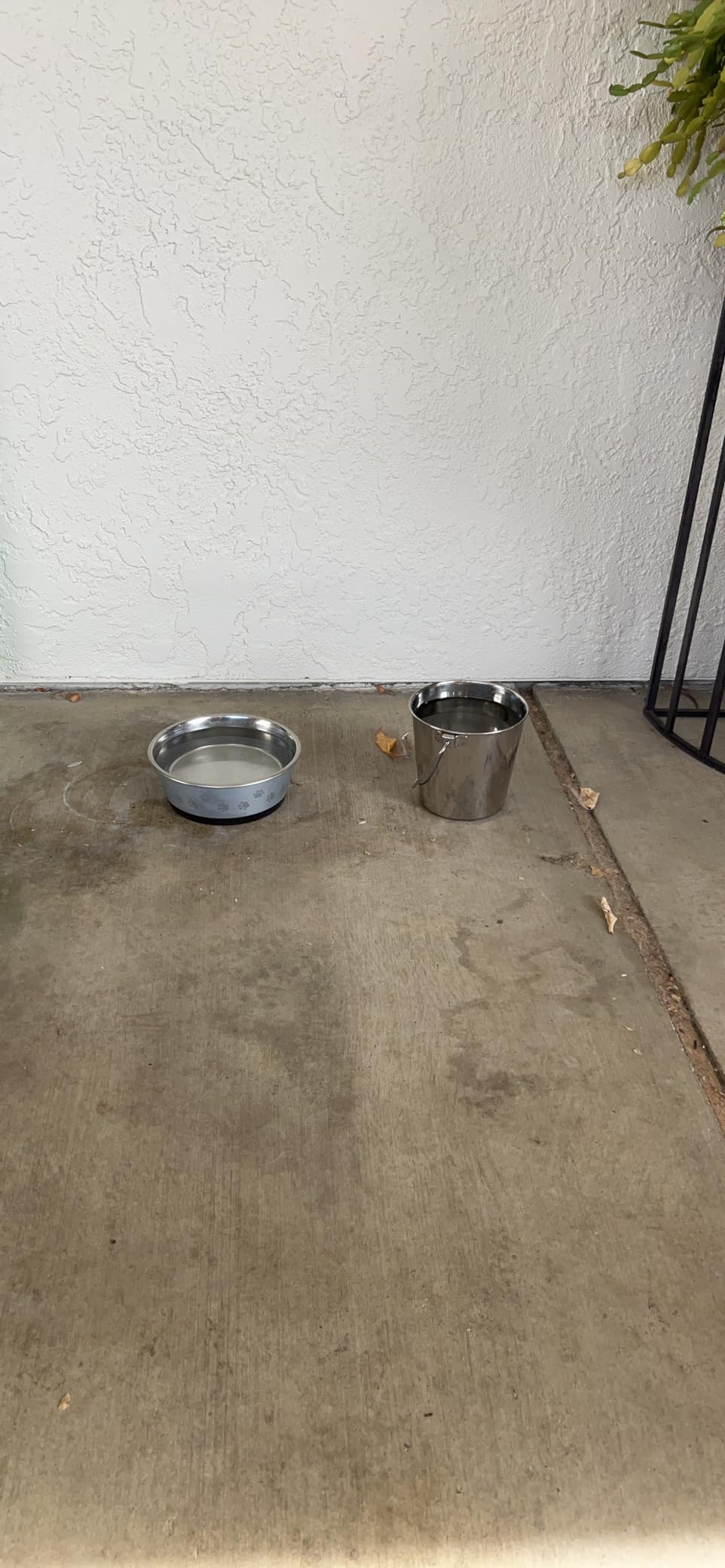 Indipets Heavy Duty Stainless Steel Pail - 2 Quart - Durable Dog Food and Water Storage customer photo 2