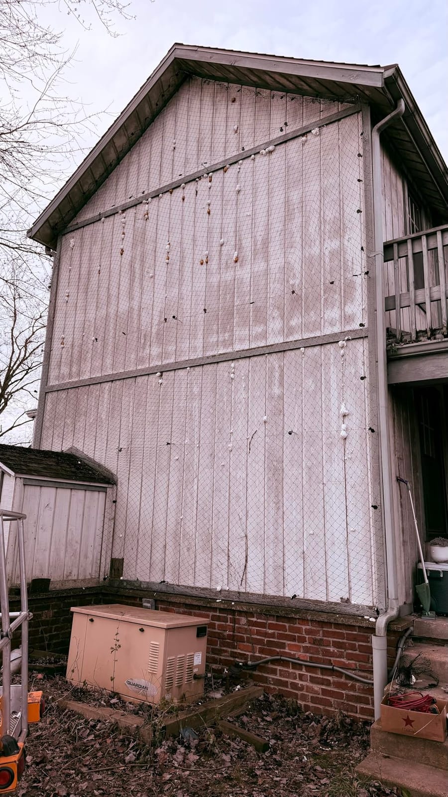 Aviary Netting Heavy Knotted 2 inch Poultry Net (25 ft x 50 ft) customer photo 2