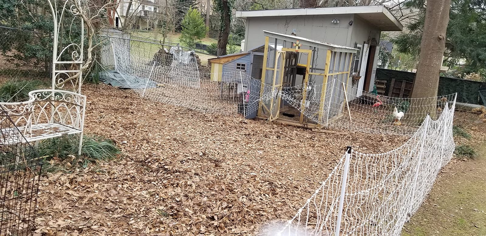 Premier 1 PoultryNet® Electric Fence for Chickens – 48