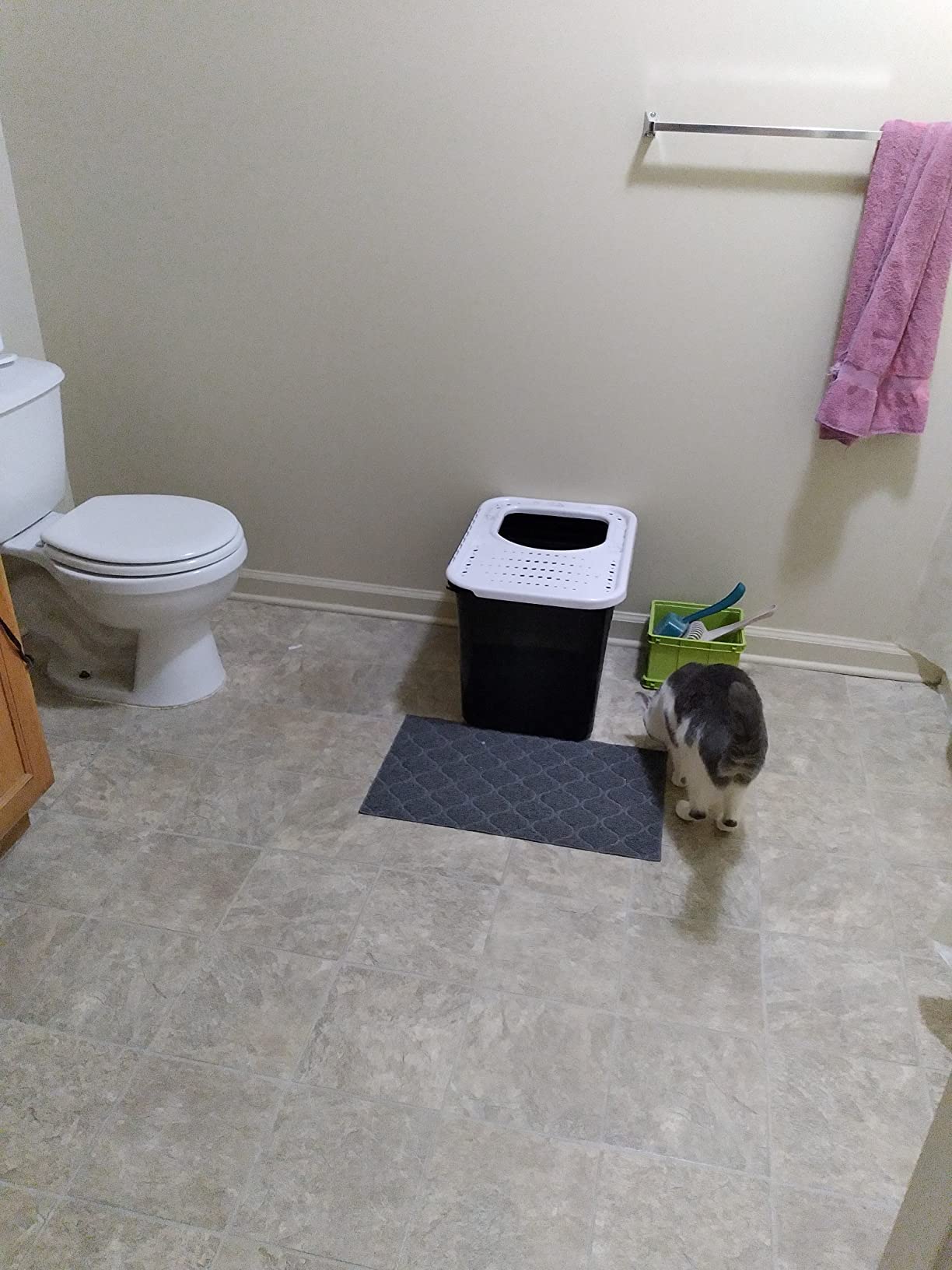 Arm & Hammer Premium Top Entry Litter Box with Filter to Clean Paws and Microban, Made in USA customer photo 2
