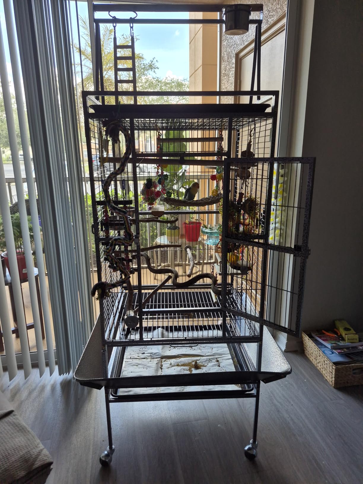 Nova Microdermabrasion 68-Inch Height Wrought Iron Standing Large Play Top Bird Cage for African Grey Small Quaker Parrot Cockatiel Sun Parakeet Green Cheek Conure Dove Budgie Lovebird customer photo 2