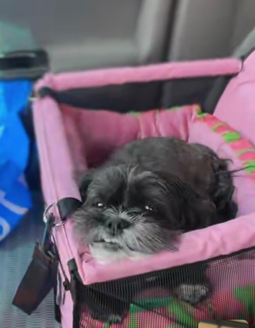 Petbobi Dog Car Seat for Small Dogs and Cats up to 15 lbs, Portable Booster customer photo 1
