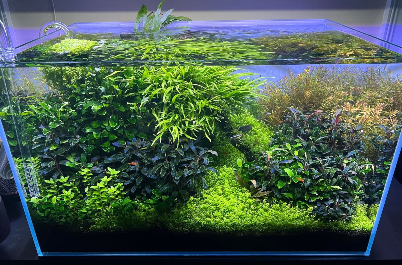 Fluval Plant 3.0 LED Planted Aquarium Lighting, 46 Watts, 36-46 Inches customer photo 1