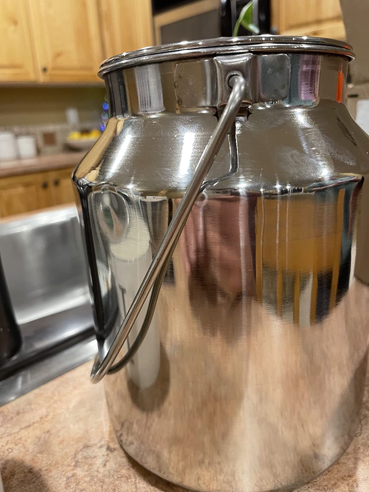 Rural365 Metal Jug - 4 Liter Stainless Steel, Rustic Milk Can with Lid, Old-Fashioned Jug Vase customer photo 2