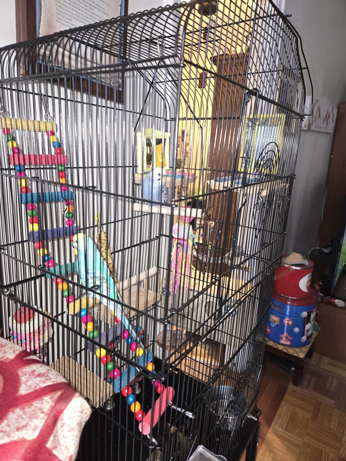 SUPER DEAL 63 Rolling Bird Cage Large Wrought Iron Cage for Cockatiel Sun Conure Parakeet Finch Budgie Lovebird Canary Medium Pet House with Rolling Stand & Storage Shelf customer photo 1