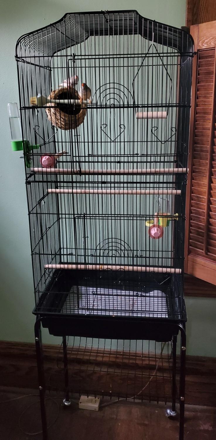 SUPER DEAL 63 Rolling Bird Cage Large Wrought Iron Cage for Cockatiel Sun Conure Parakeet Finch Budgie Lovebird Canary Medium Pet House with Rolling Stand & Storage Shelf customer photo 2