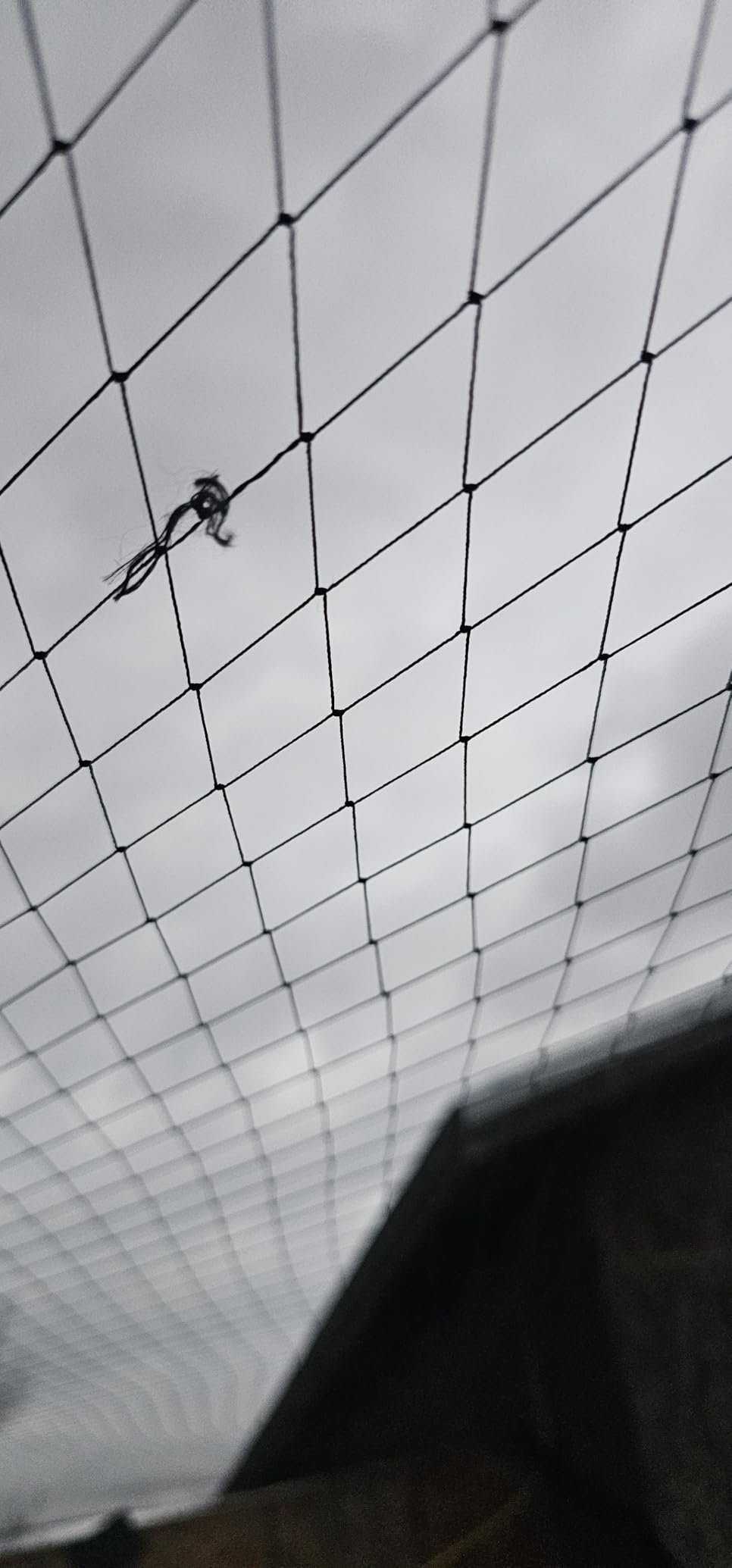BSTPCOO Bird Netting for Chicken Coop, 25'x50' with 2.4