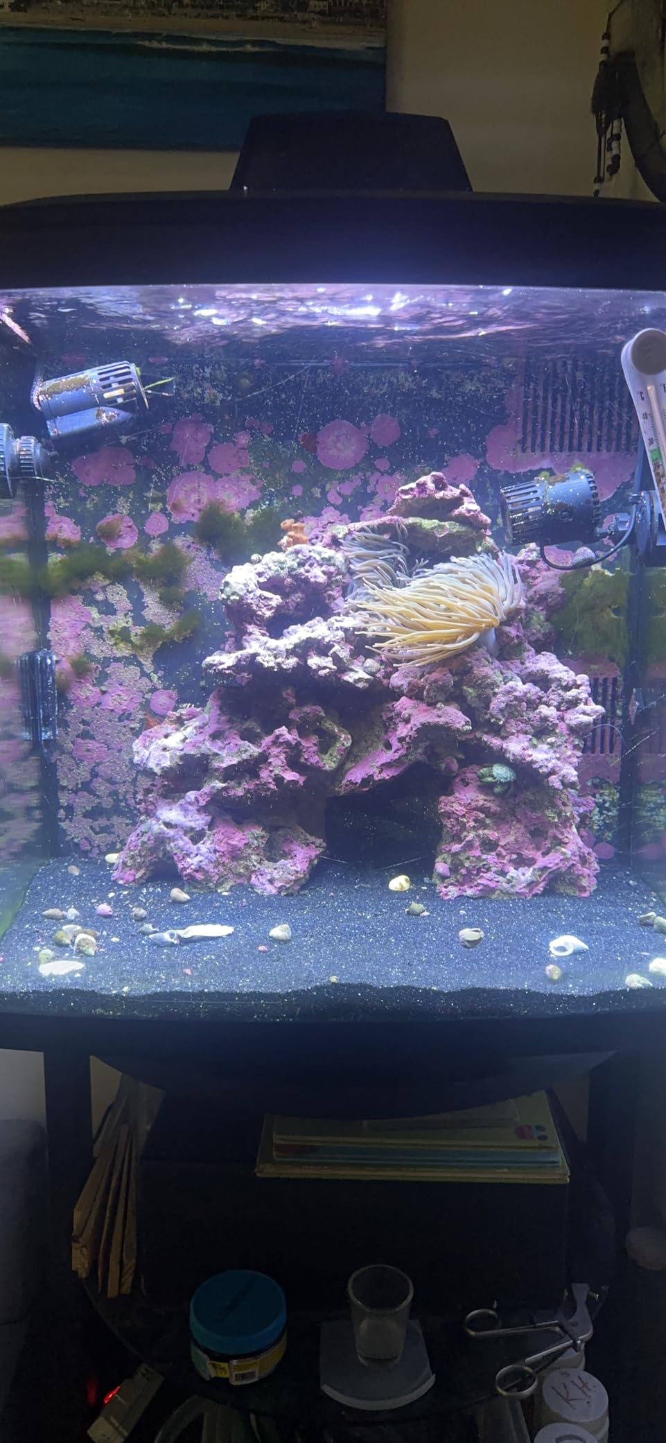 Coralife Biocube Protein Skimmer, Aquarium Skimmer customer photo 1