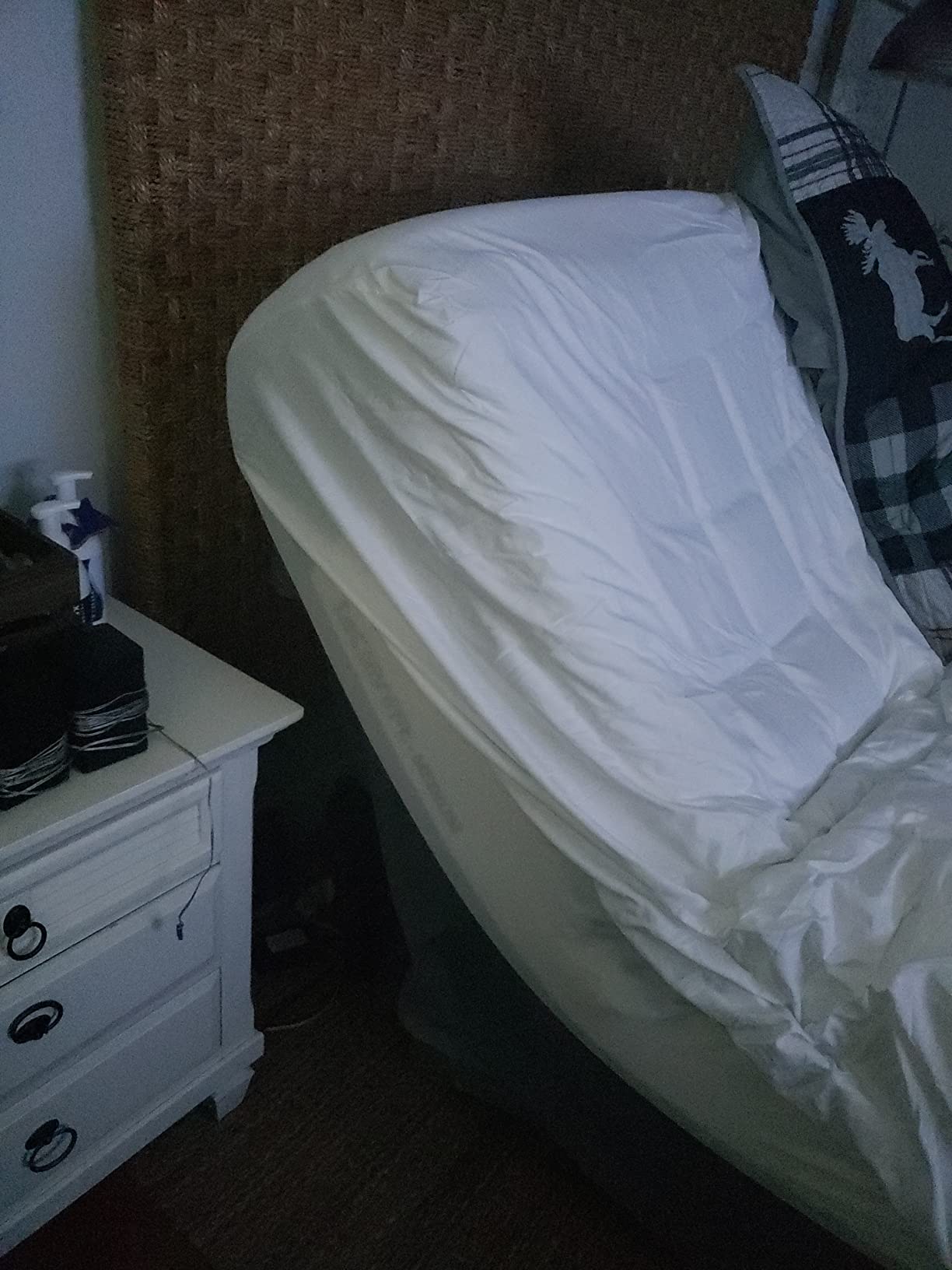 Blissful Nights e6 Wall Glide Adjustable Bed Frame with Voice Control, Massage, USB, Nightlight, Anti-Snore, Zero Gravity, Wireless Remote and No Tools Assembly (Twin XL) customer photo 2