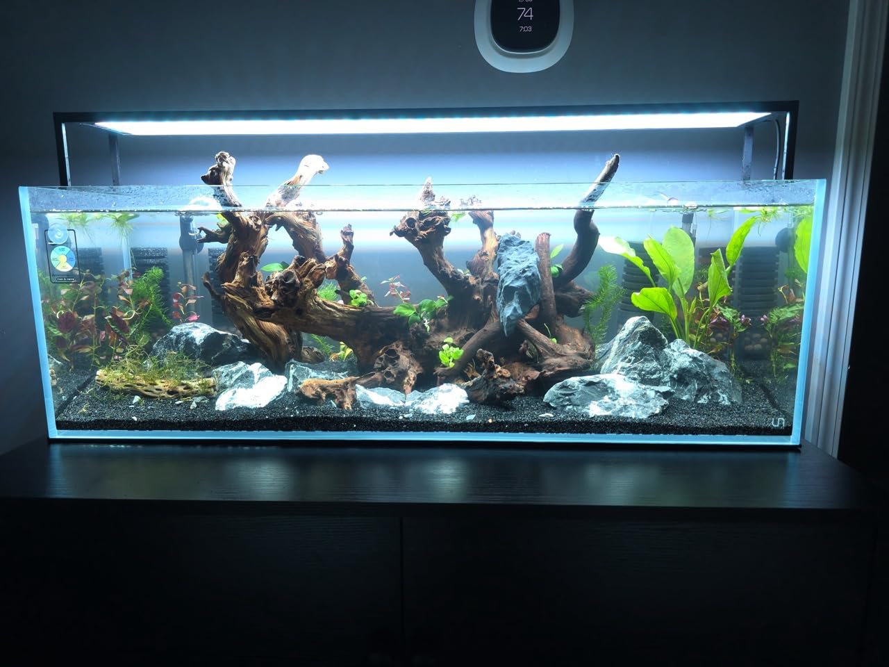 Ultum Nature Systems Ultra Clear Rimless Aquarium - Low Iron Glass Fish Tank with 45° Mitered Edges, 5mm-12mm Thick, Leveling Mat Included (16T, Tall, 1.6 Gallon) customer photo 1