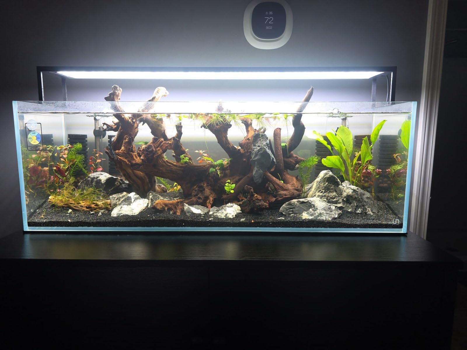 Ultum Nature Systems Ultra Clear Rimless Aquarium - Low Iron Glass Fish Tank with 45° Mitered Edges, 5mm-12mm Thick, Leveling Mat Included (16T, Tall, 1.6 Gallon) customer photo 2
