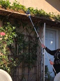 Oak Leaf Fruit Picker Pole with Basket, 13 FT Length Adjustable customer photo 1