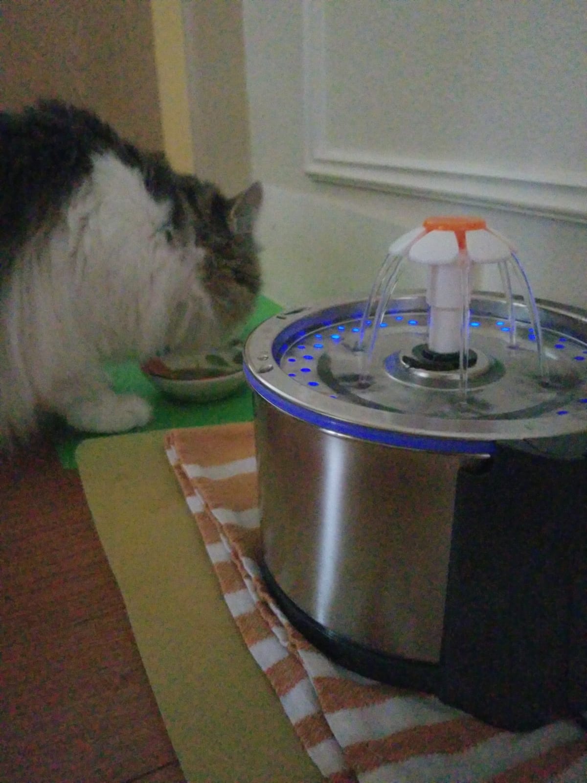 iPettie Cat Water Fountain Stainless Steel, 84oz/2.5L, 4-Stage Filtration customer photo 2