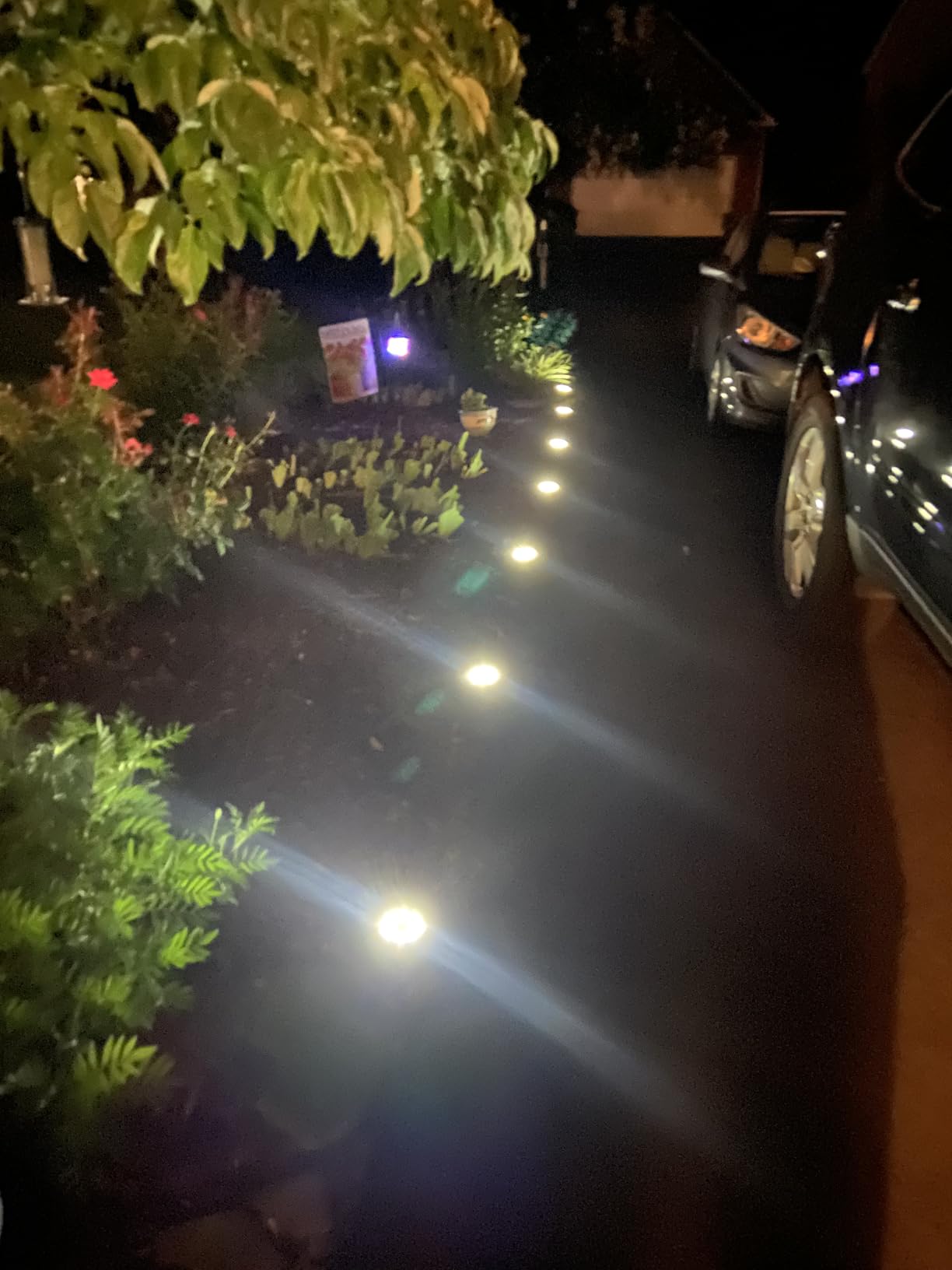 SOLPEX Solar Lights Outdoor Waterproof, 12 Pack Solar Ground Lights, Solar Garden Lights Landscape Lighting for Pathway Driveway Patio Backyard Walkway (Cool White) customer photo 2