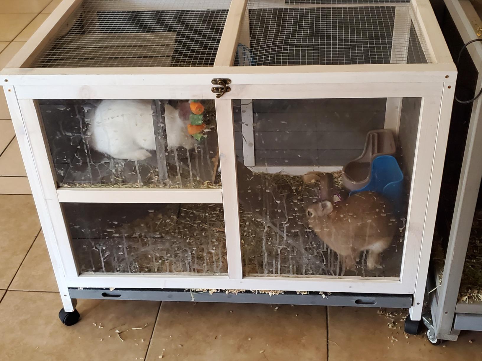 PawHut Rabbit Hutch with Wheels, Desk and Side Table Sized, Wooden Rabbit Cage, Waterproof Small Bunny Cage with Removable Tray, Openable Roof, for Indoor & Outdoor, Natural customer photo 1