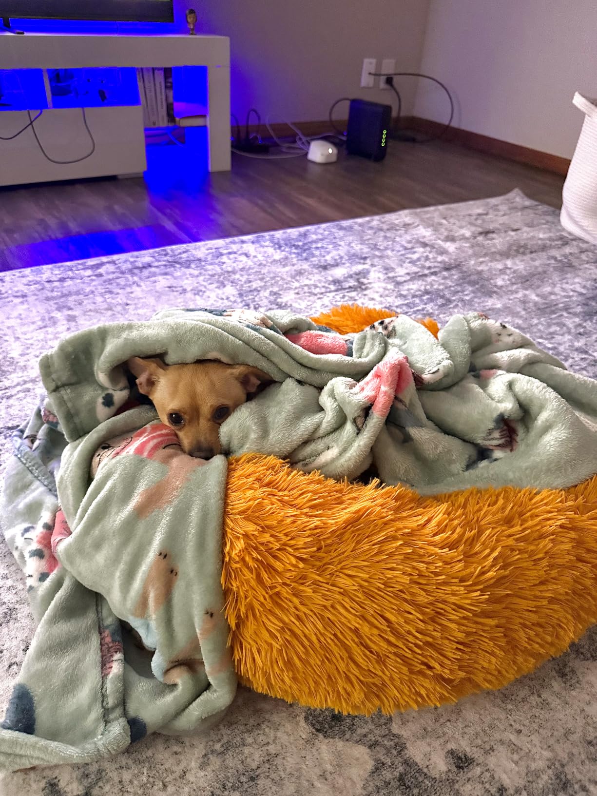 nononfish Calming Dog Bed for Small Dogs,Plush Donut Pet Bed customer photo 1