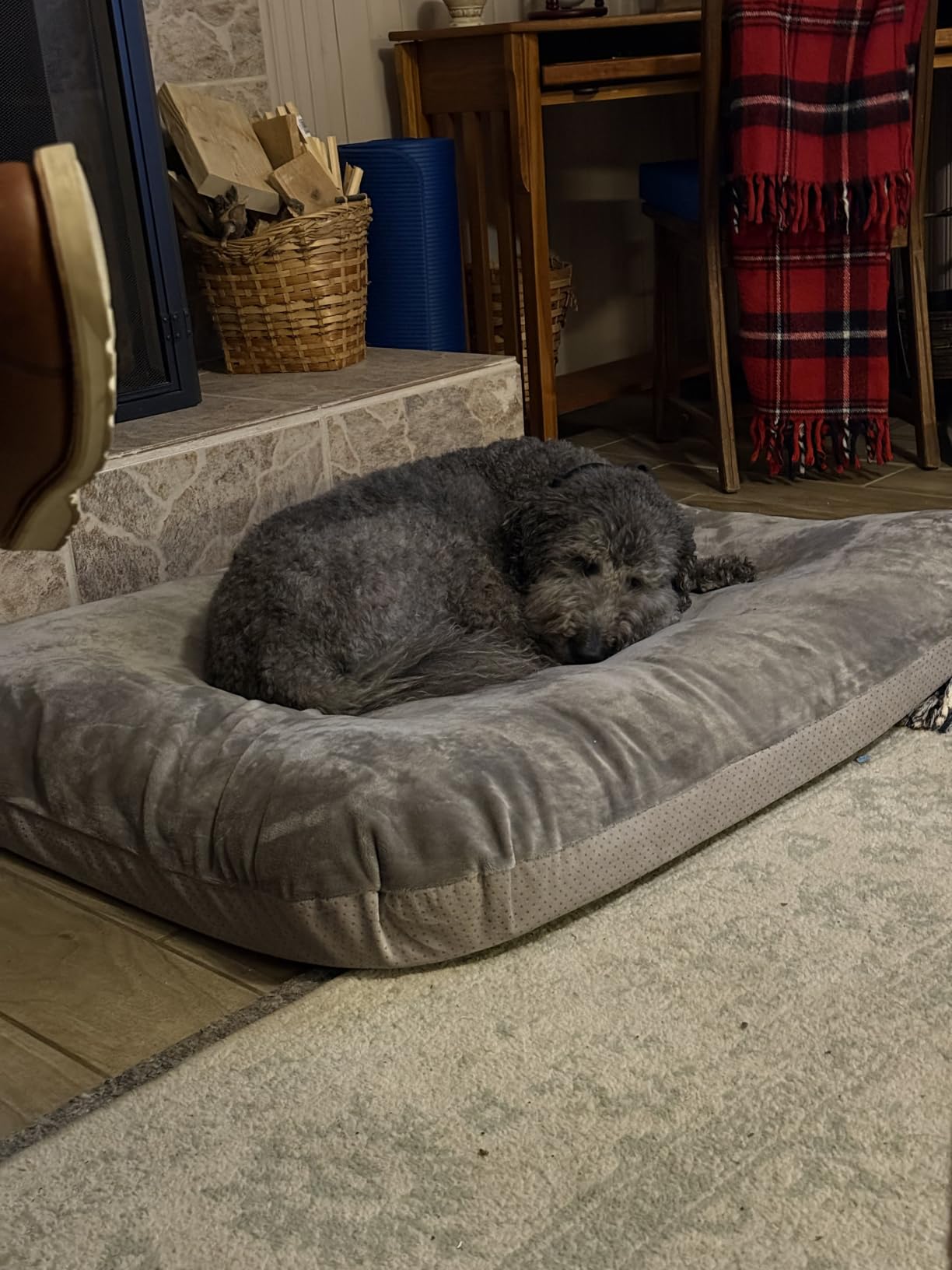 Magic Dog Orthopedic Extra Large Dog Bed 47 Inch, Super Soft XL Pet Bed customer photo 1