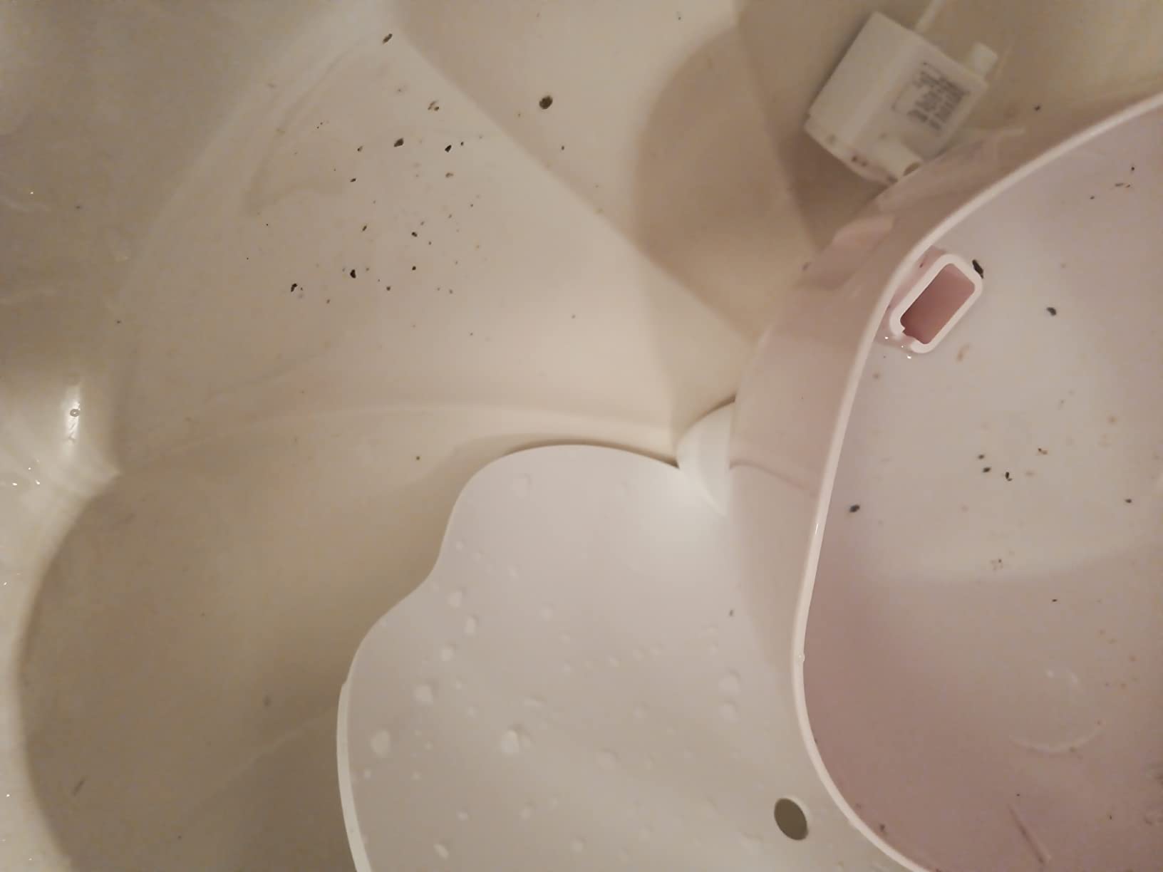 Catit PIXI Drinking Fountain, Stainless Steel customer photo 2