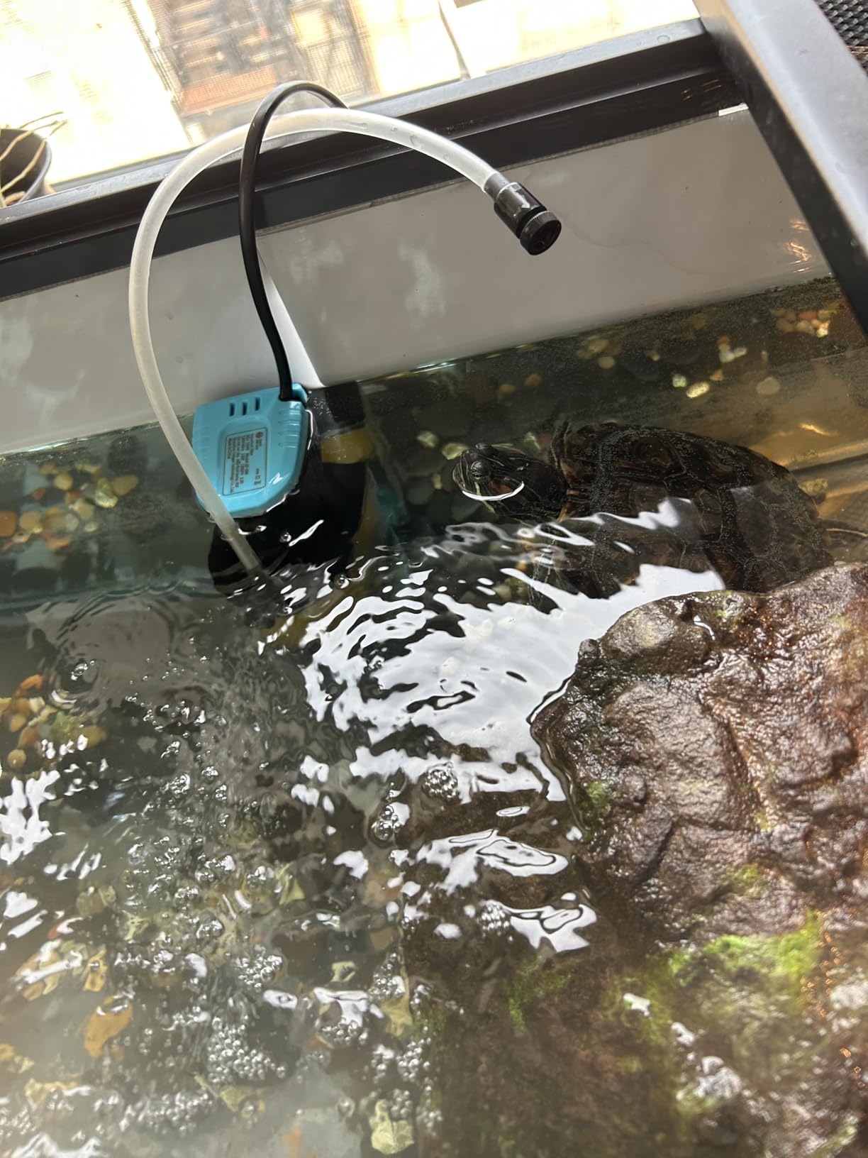 enomol Gravel Vacuum for Aquarium Water Changer Fish Tank Cleaning Tools,Siphon Universal Quick Pump Aquarium Water Changing (50ft) customer photo 2