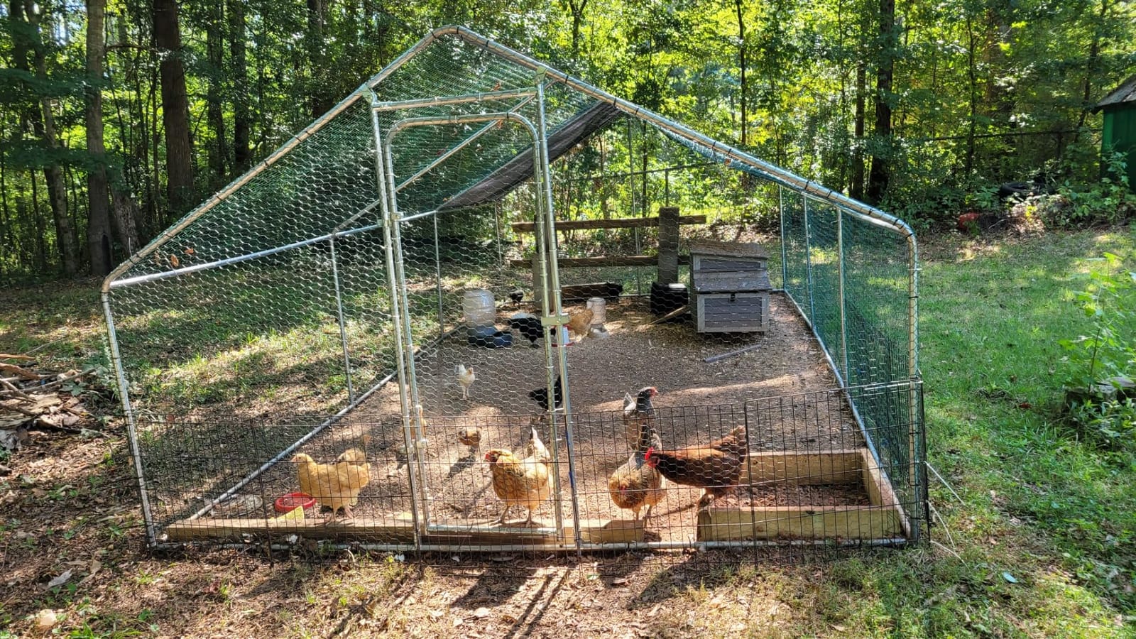 Large Metal Chicken Coop, 13.2x9.9x6.6ft Bold Chicken Pen with Spire Shape customer photo 1