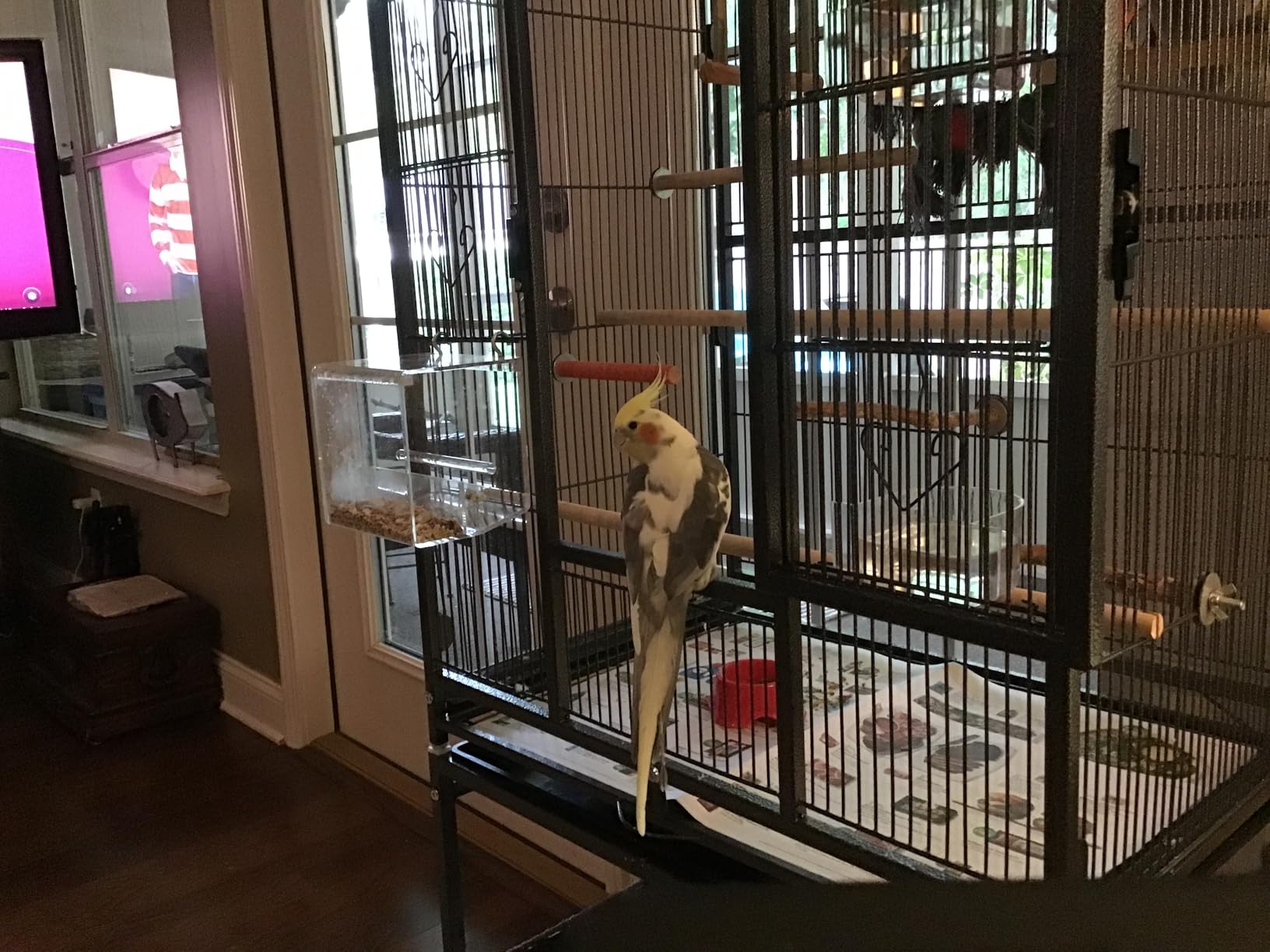 VIVOHOME 54 Inch Wrought Iron Large Bird Cage with Rolling Stand customer photo 1