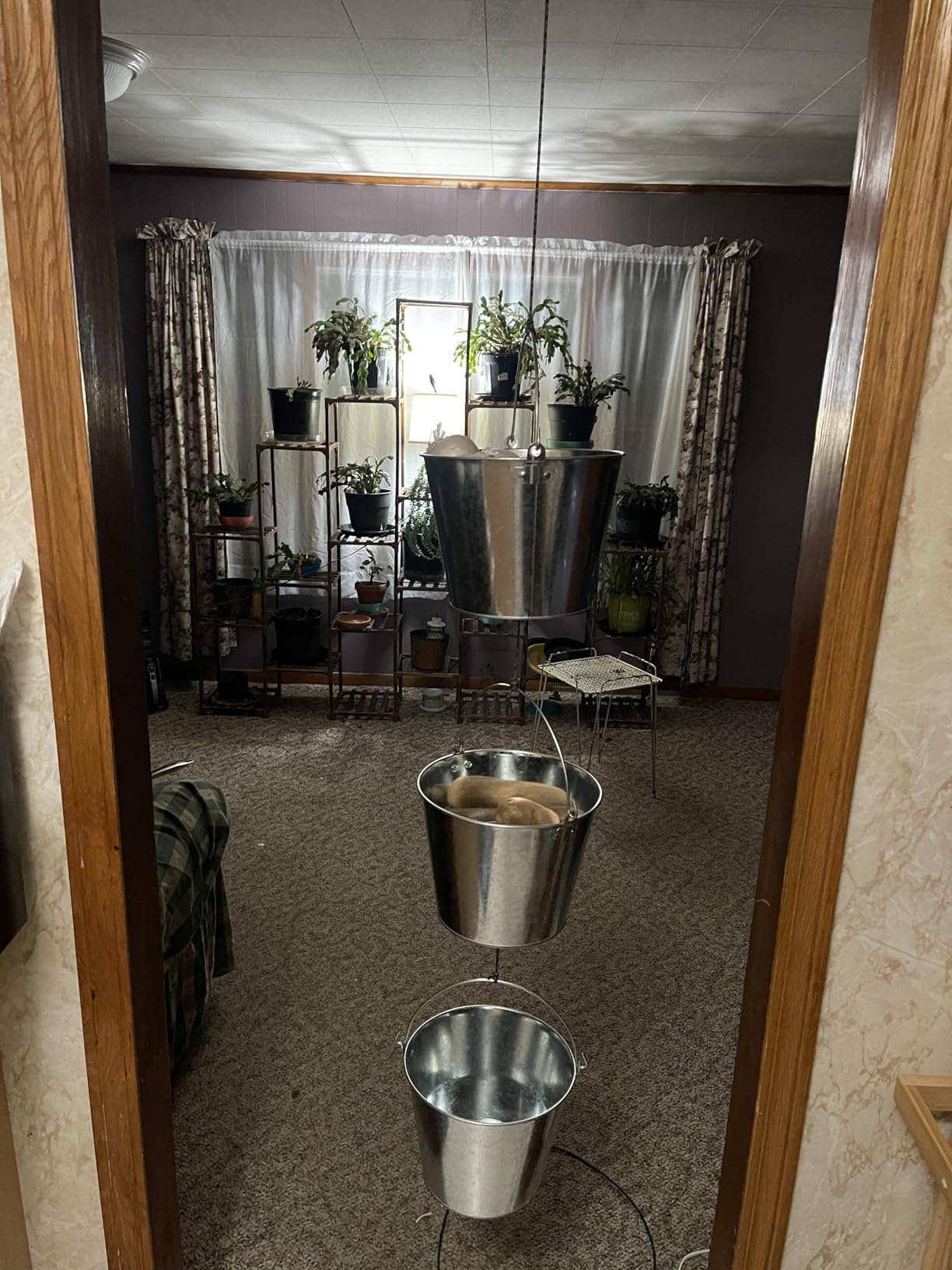 5-Quart Galvanized Pail Beer Bucket 9x9x7 inches (Pack of 1) customer photo 2