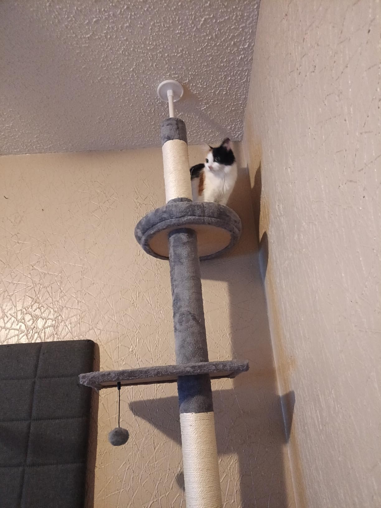 PETEPELA 5-Tier Floor to Ceiling Cat Tree, 95-107In Tall Cat Tower Grey customer photo 2