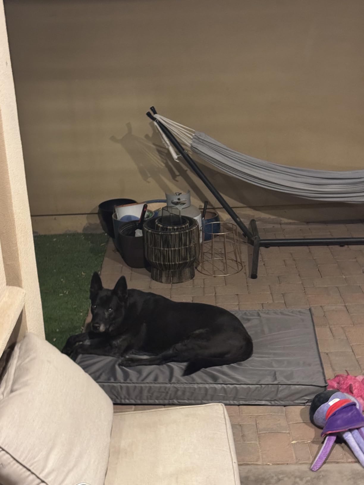 LE SURE Outdoor Waterproof Dog Beds Large Sized,Orthopedic Pet Mat,36x27In customer photo 2