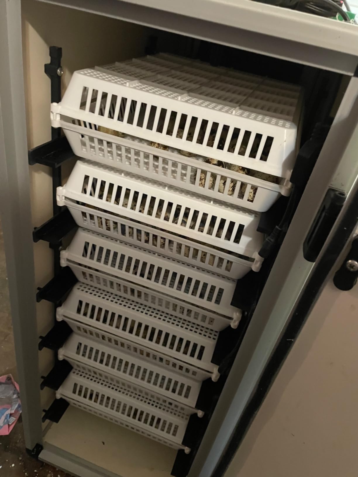 Hatching Time Incubators for Hatching Eggs, CT120SH Egg Setter & Hatcher customer photo 1