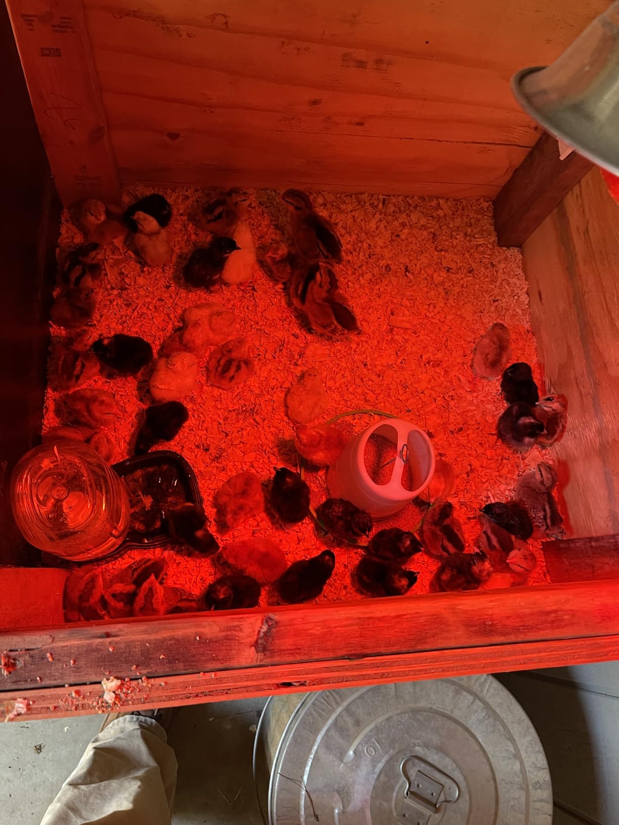 Hatching Time Incubators for Hatching Eggs, CT120SH Egg Setter & Hatcher customer photo 2