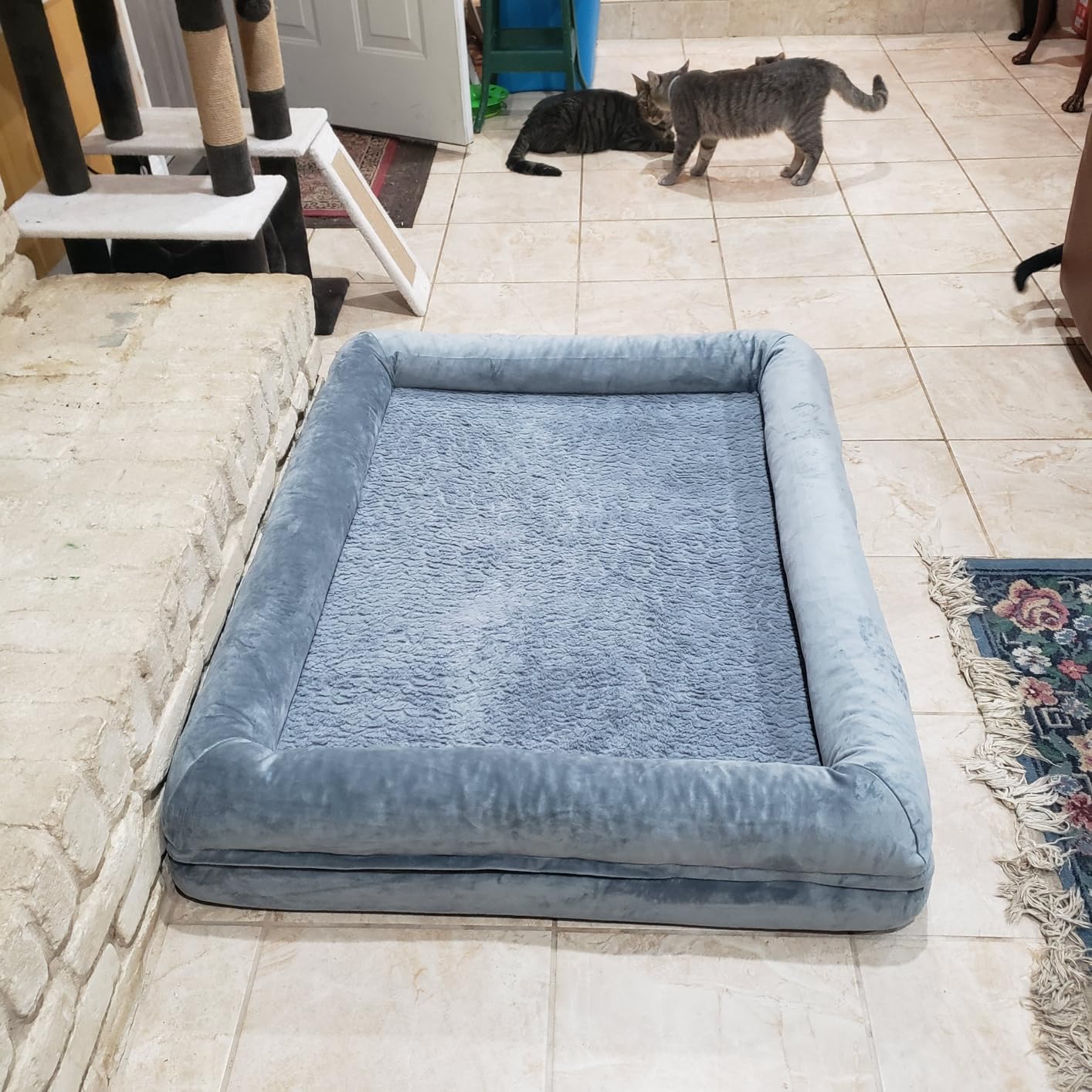 XL Orthopedic Waterproof Dog Bed for Extra Large Size Dogs customer photo 2