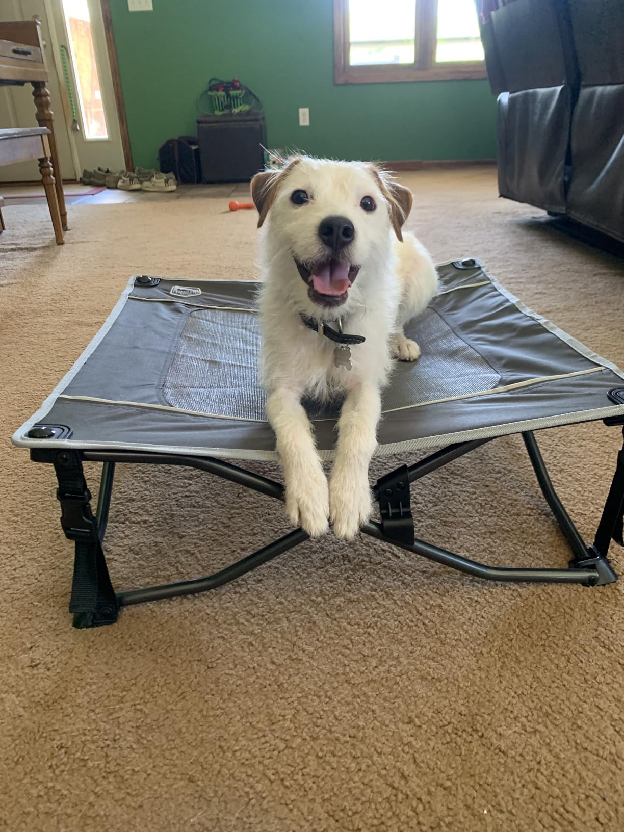 TIMBER RIDGE Outdoor Dog Bed, Cooling Elevated Pet Bed Portable Raised Dog Bed with Breathable Mesh, Dog Bed Foldable Dog Cot for Indoor & Outside, Grey customer photo 1