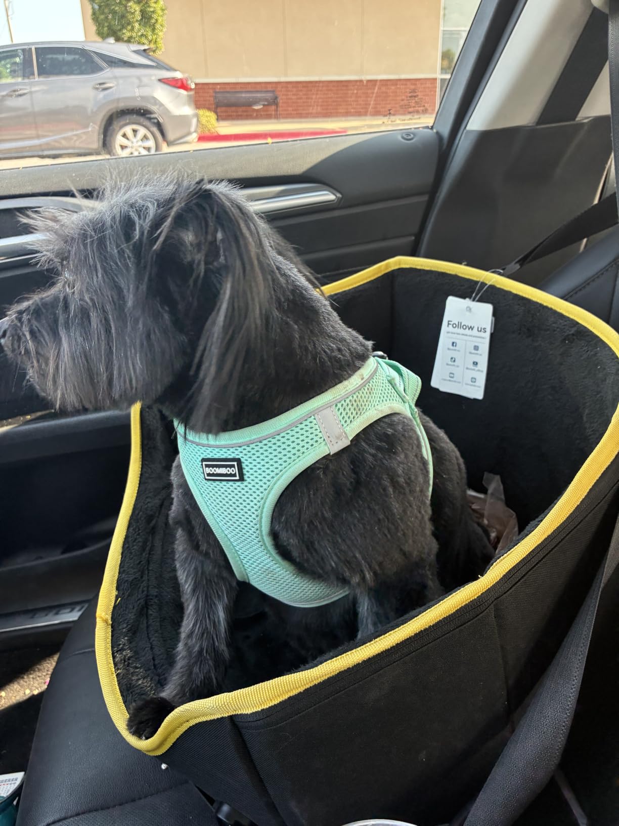 PETSFIT Dog Car Seats for Small Dogs – Patented Safety Buckles – Safety Tether – Foldable Travel Dog Booster Car Seat Reduces Anxiety & Road Trips – Stable Frame, Soft Cushion, Fits Front/Back Seat customer photo 2