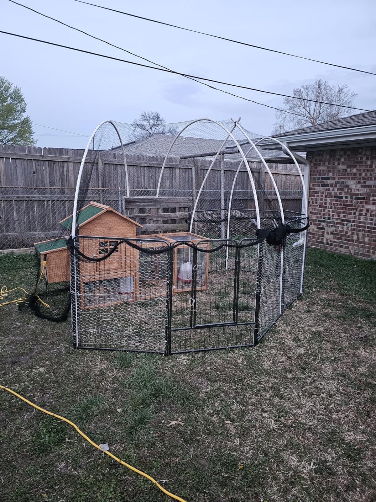 Bird Netting for Chicken Coop,50x50ft Poultry Netting with 2.4