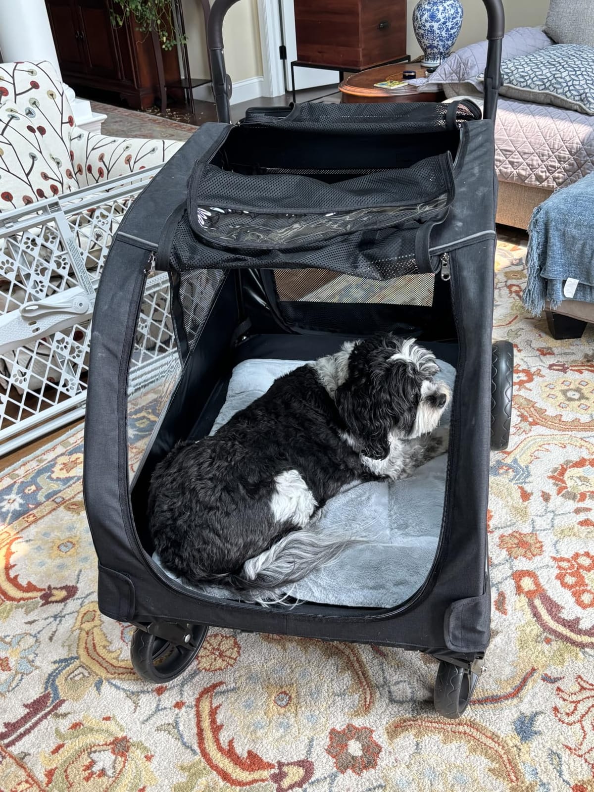 Saudism Dog Stroller for Large & Medium Dogs, Extra Large Pet Stroller, Dog Wagon for 2 Dogs, Foldable Design, Adjustable Handle, with Pocket, Up to 130 lbs customer photo 2