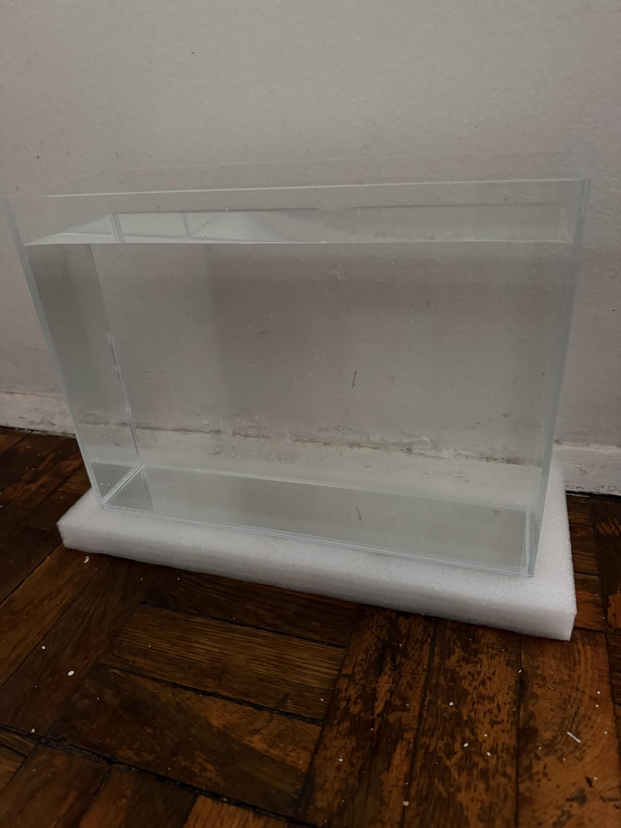 LAQUAL Rimless Glass Aquarium Starter Kit (3 Gal), Ultra Clear Low Iron Glass Fish Tank Set, Small Beta Fish Tank & Filter with Surface Skimmer & 3-Mode LED Light customer photo 1